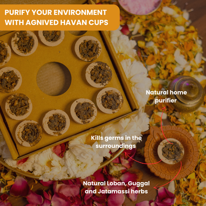 Agnived Cow Dung Havan Cups